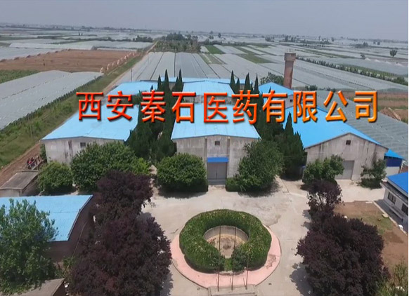 西安秦石醫(yī)藥有限公司